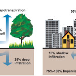 sustainable_urban_drainage_systems_suds