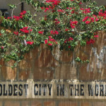 Jericho_oldest_city_in_the_world_wiki2