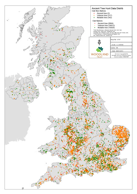 Ancient and veteran oaks and natural capital – Landscape Architects LAA