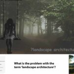 problem_landscape_Q&A_first